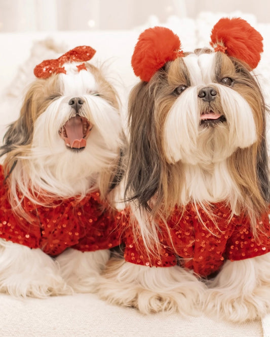 Red Velvet Sequin Shirt