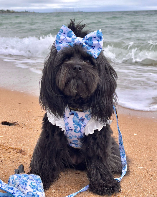 Wet'n'Wild Seahorse Set