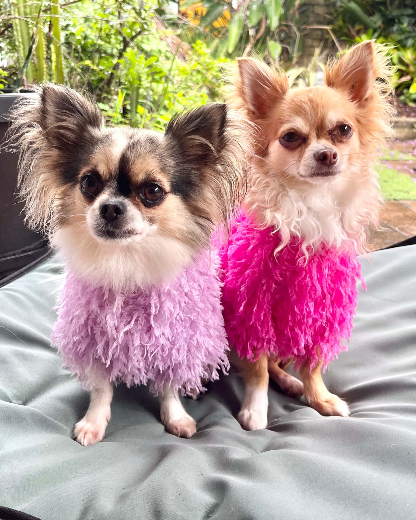 Quinn Feathered Top Pink