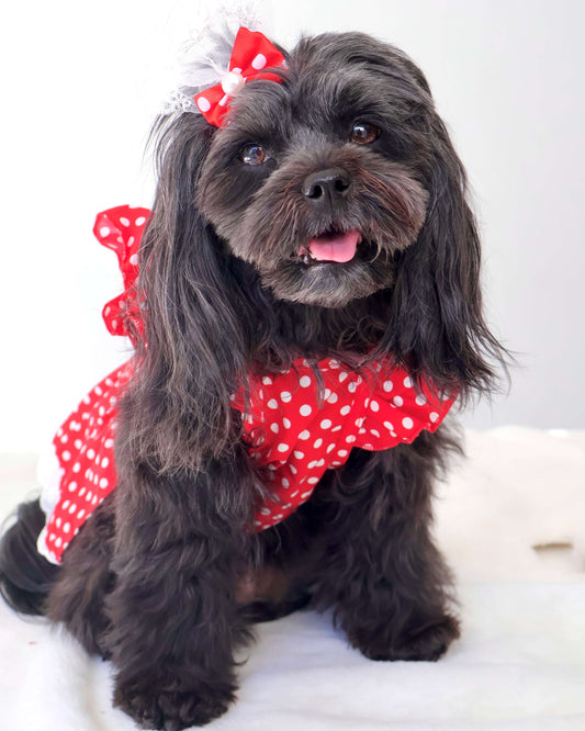 Bethany Red Polka Dot