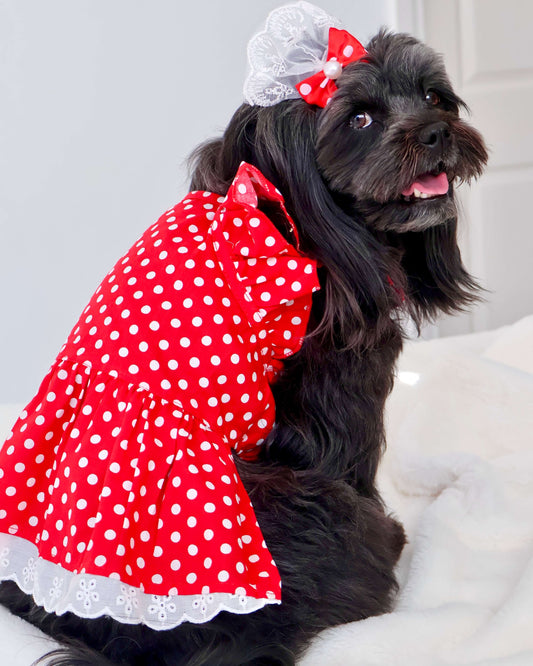 Bethany Red Polka Dot