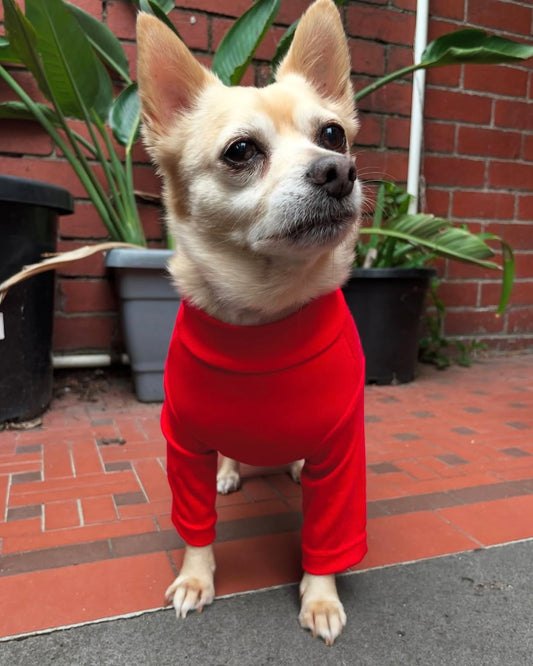 Arlo Long Sleeve Top Red