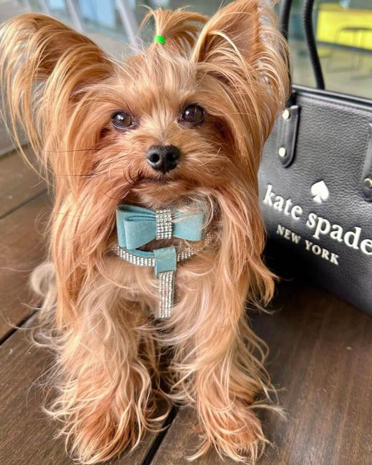 Diamante Aqua Collar