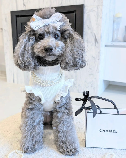 Arabella Frilly Sleeve Top White