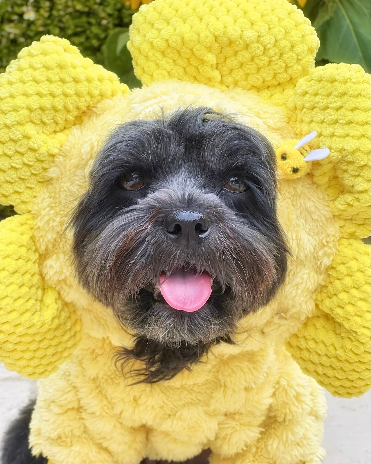 Sweet Sunflower Hoodie