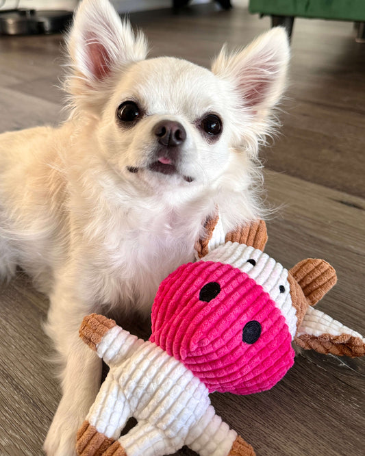 Micky Moo - with squeeker and crackle sound ears