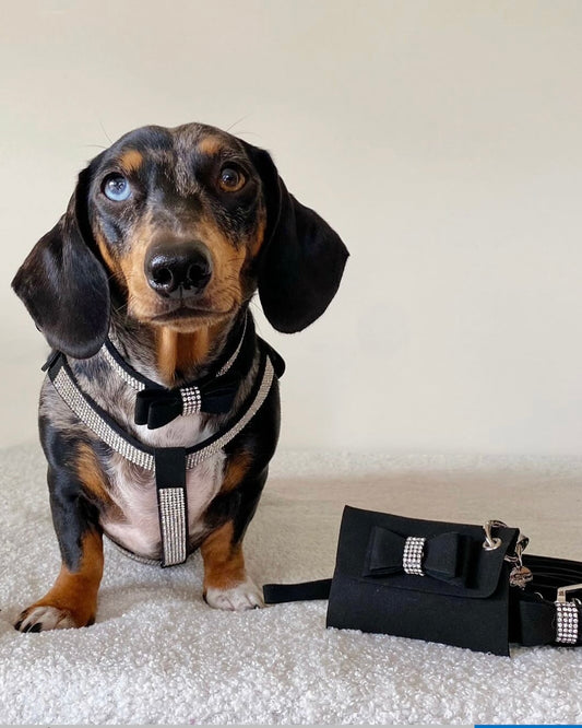 Diamanté Noir Waste Bag Holder