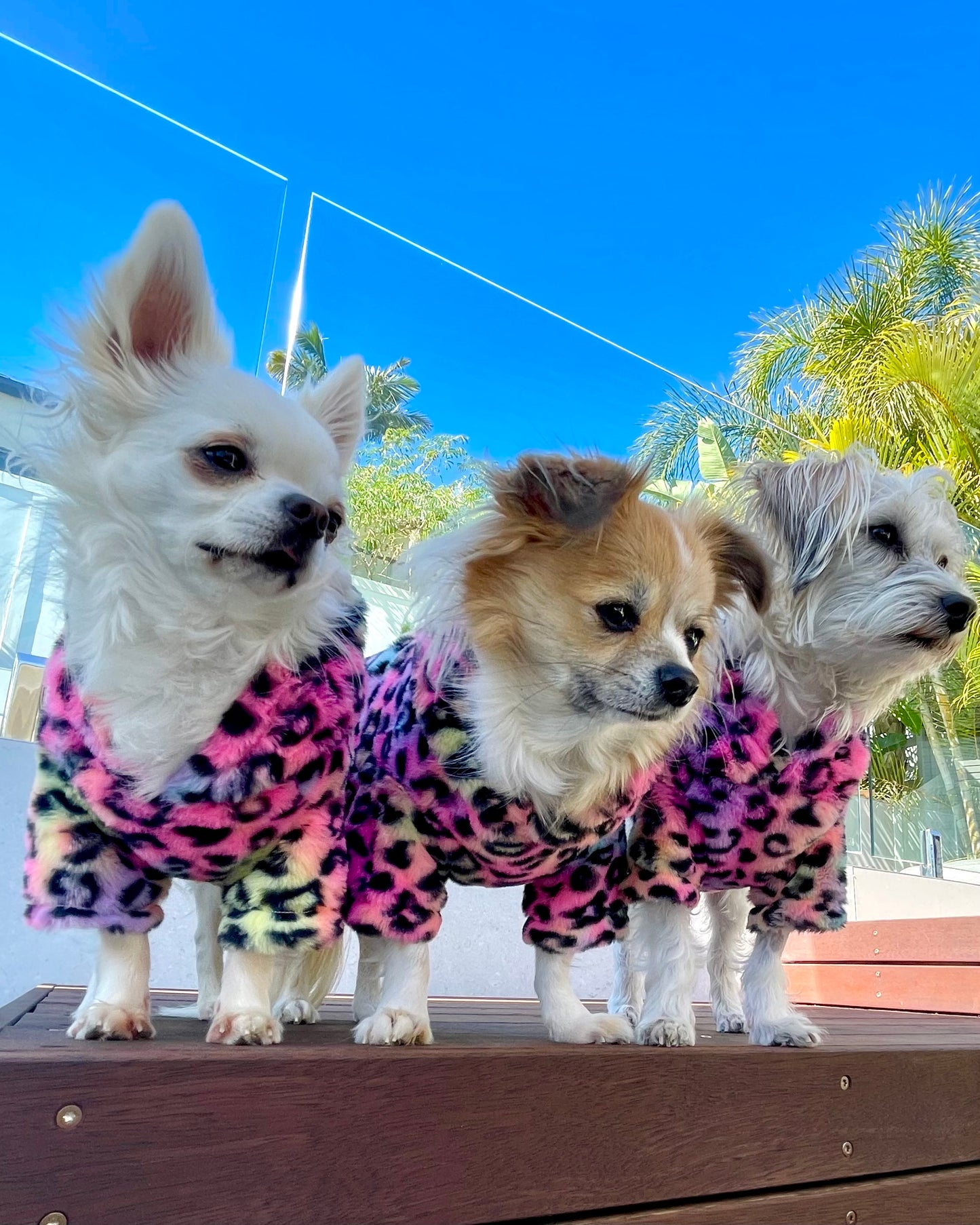 Funkalicious Fur Hoodie