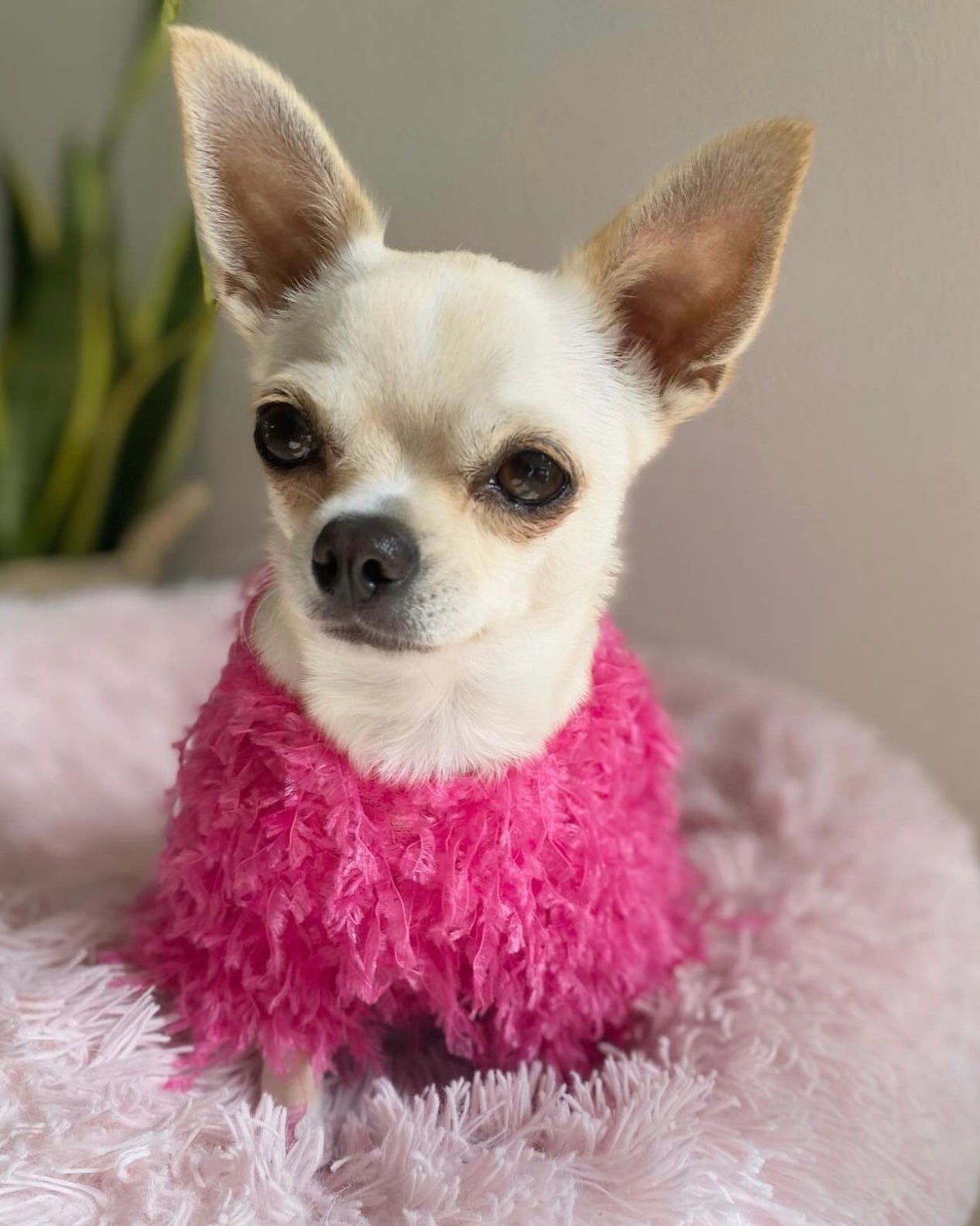 Quinn Feathered Top Pink