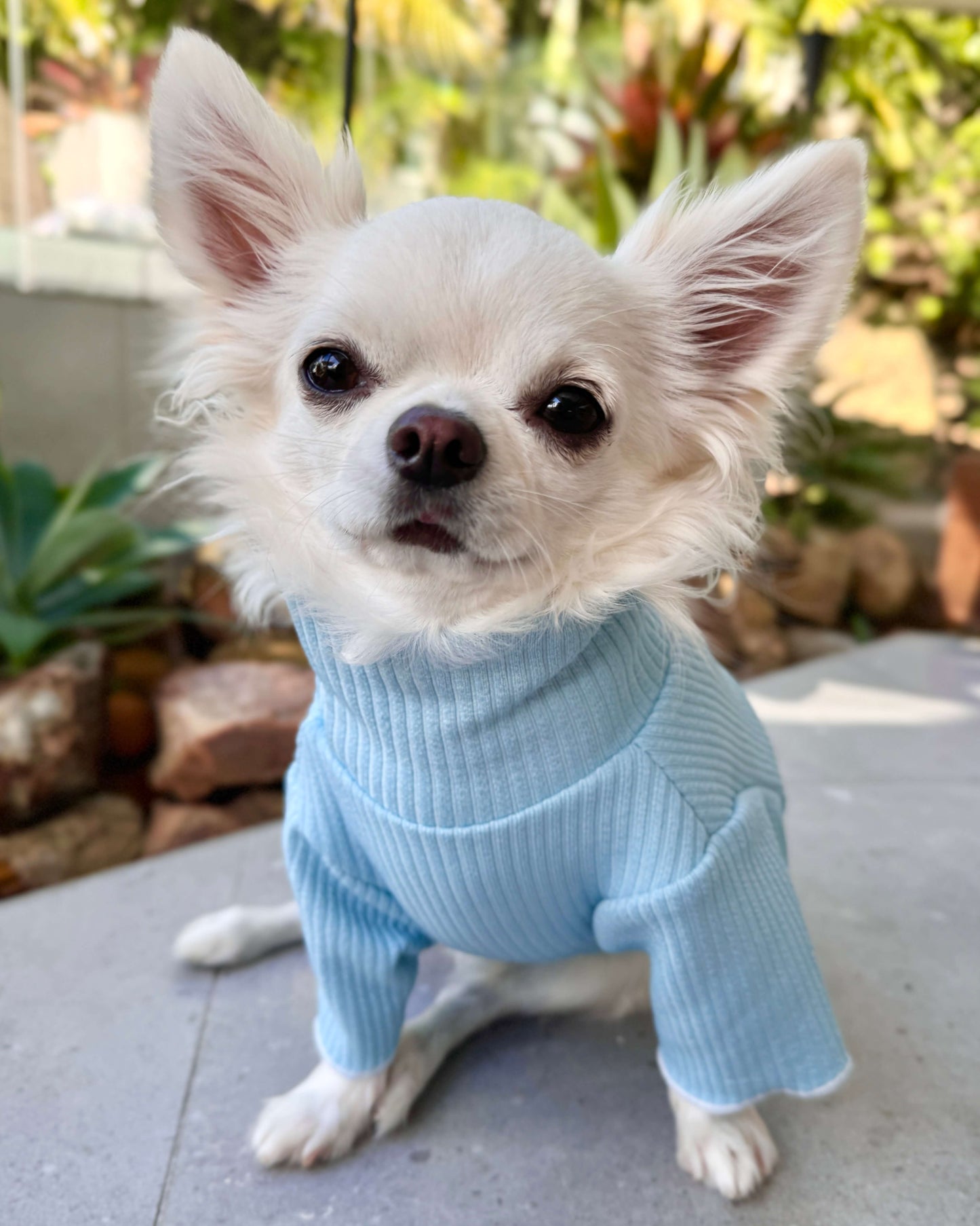 Andy Turtleneck Top Blue