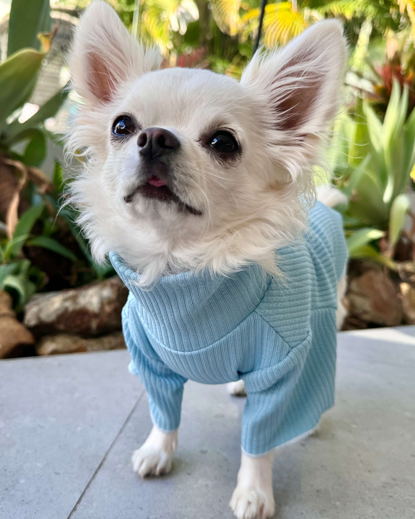 Andy Turtleneck Top Blue
