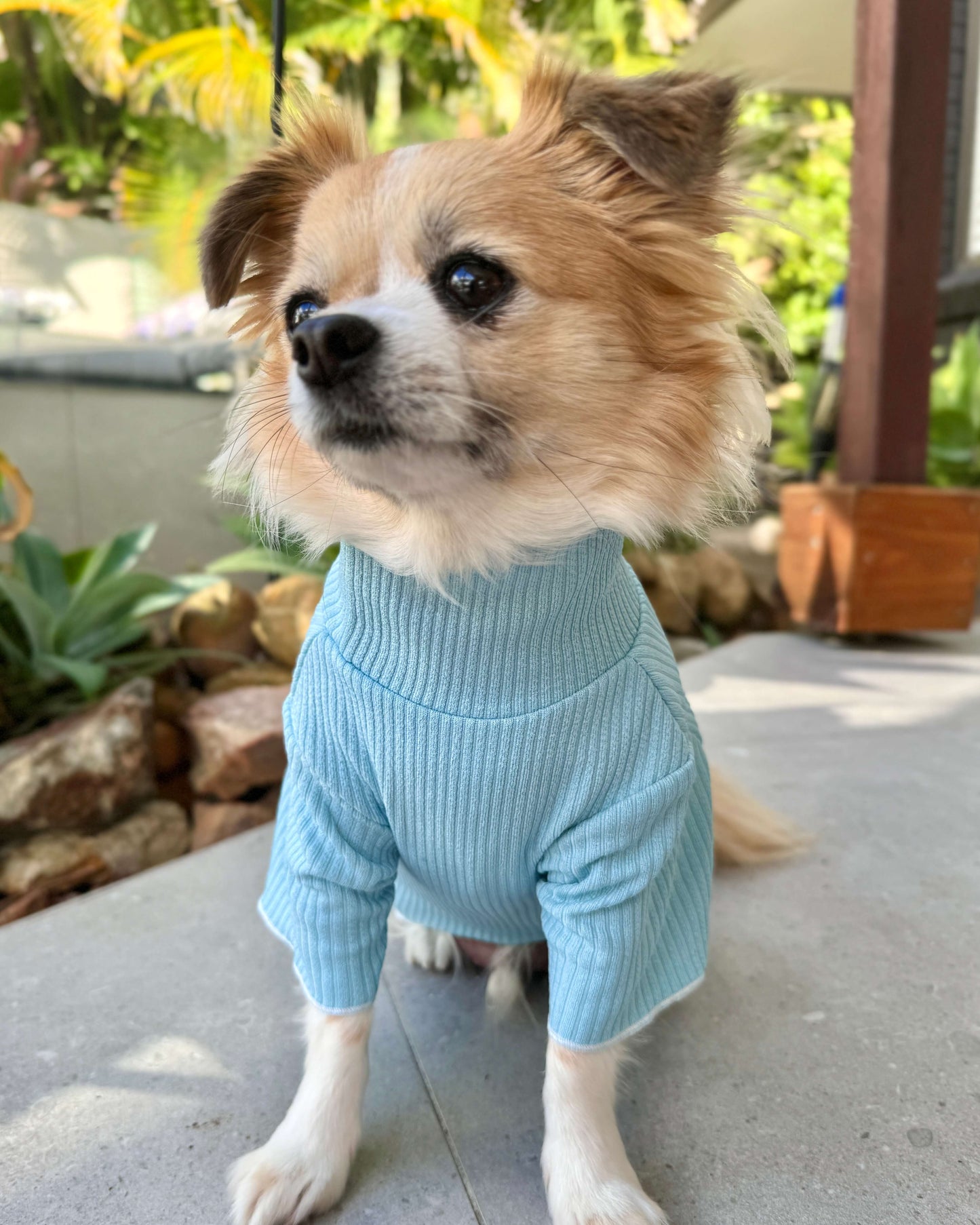 Andy Turtleneck Top Blue