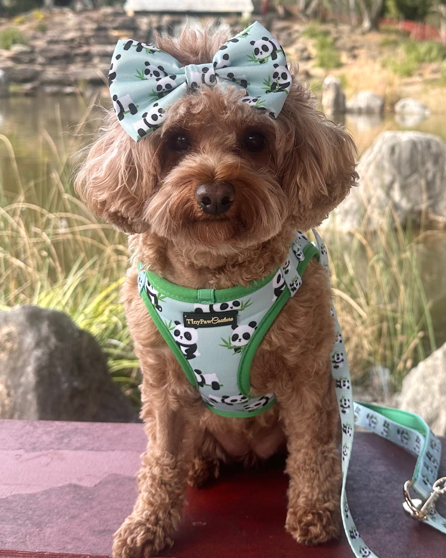 Wet'n'Wild Panda Bow
