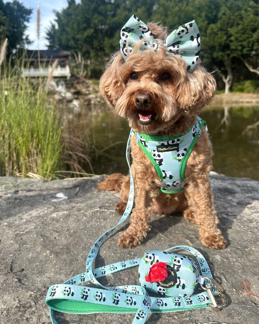 Wet'n'Wild Panda Set