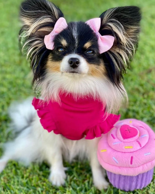 Arabella Frilly Sleeve Top Plum Pink