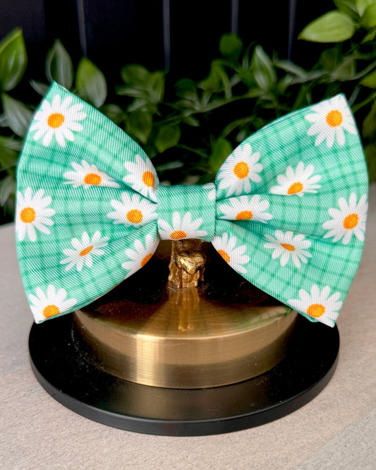 Wet'n'Wild Daisy Bow