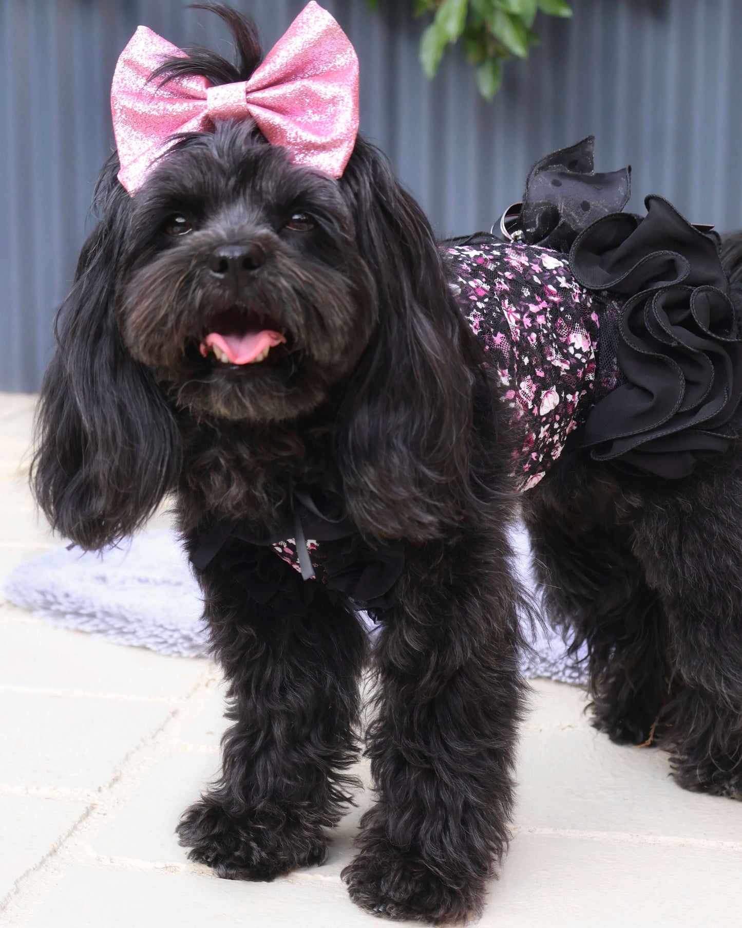 Lila Dress
