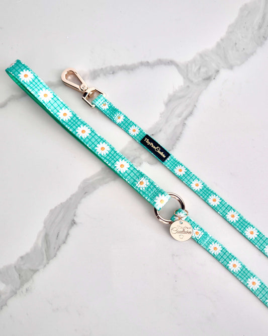 Wet'n'Wild Daisy Lead