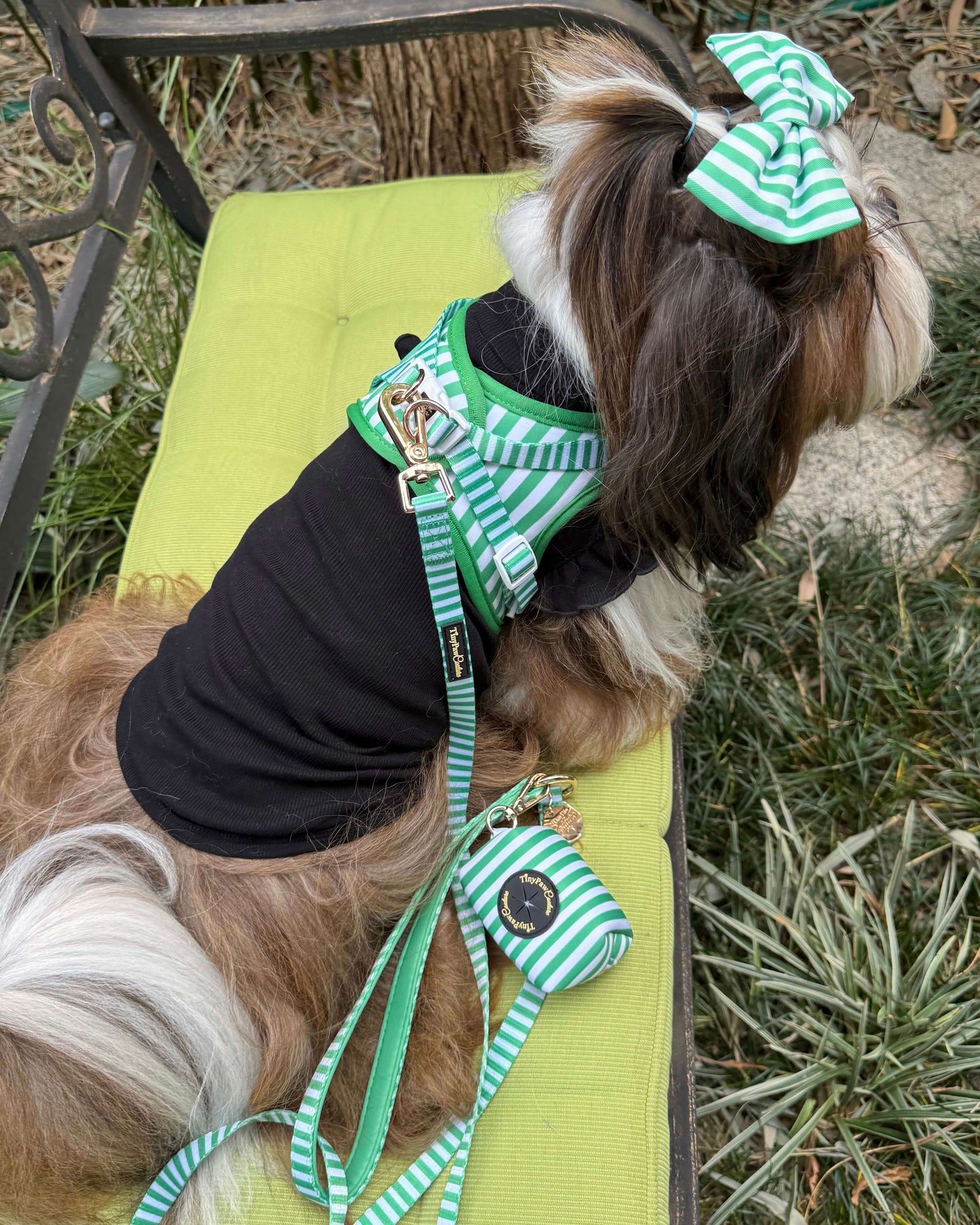 Wet'n'Wild Green Stripes Step In Vest Harness