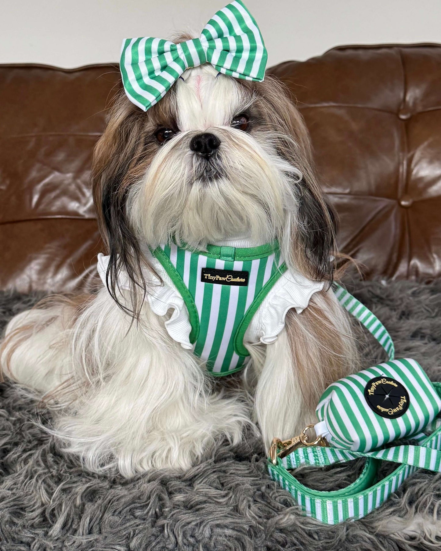 Wet'n'Wild Green Stripes Step In Vest Harness