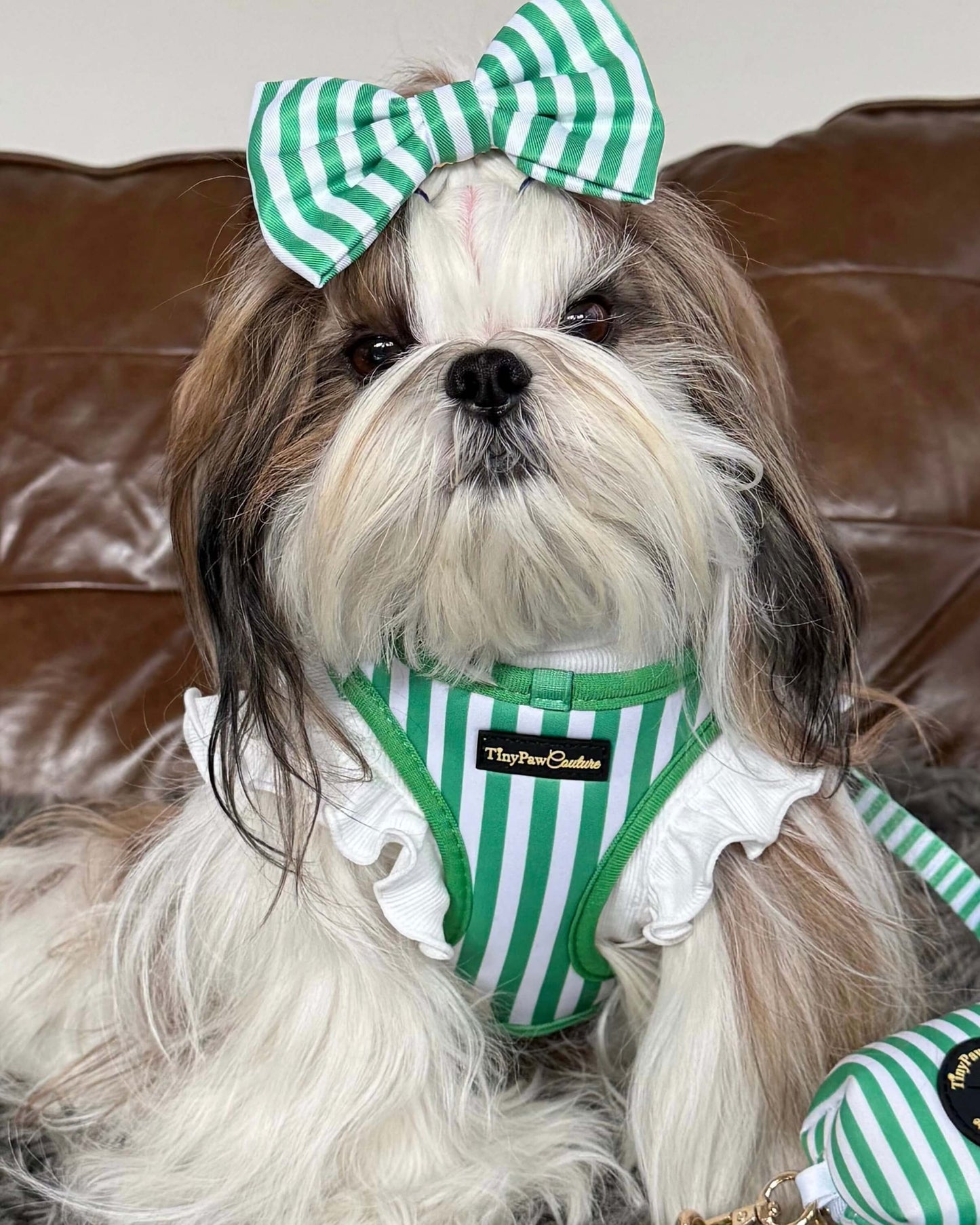 Wet'n'Wild Green Stripes Bow