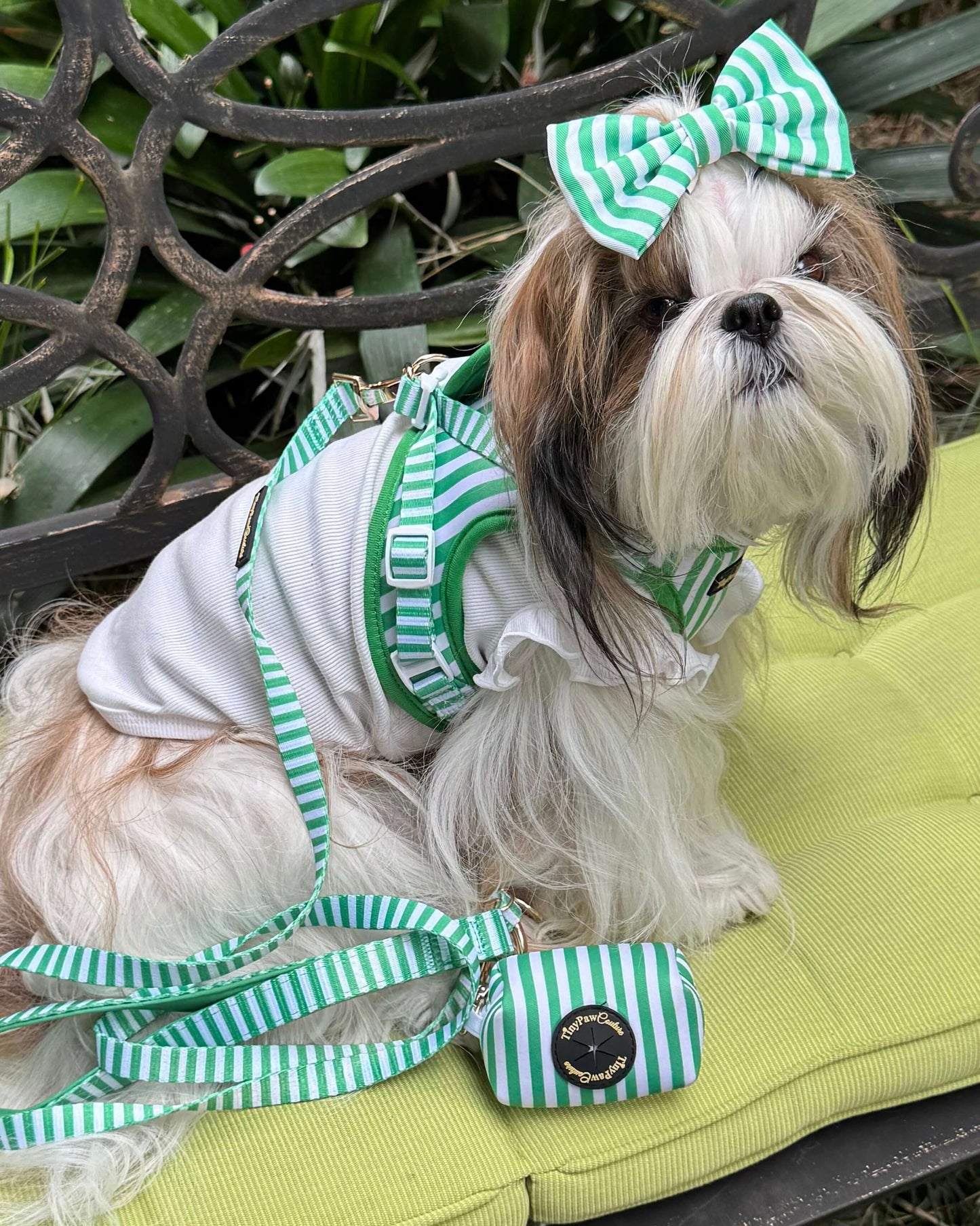 Wet'n'Wild Green Stripes Step In Vest Harness