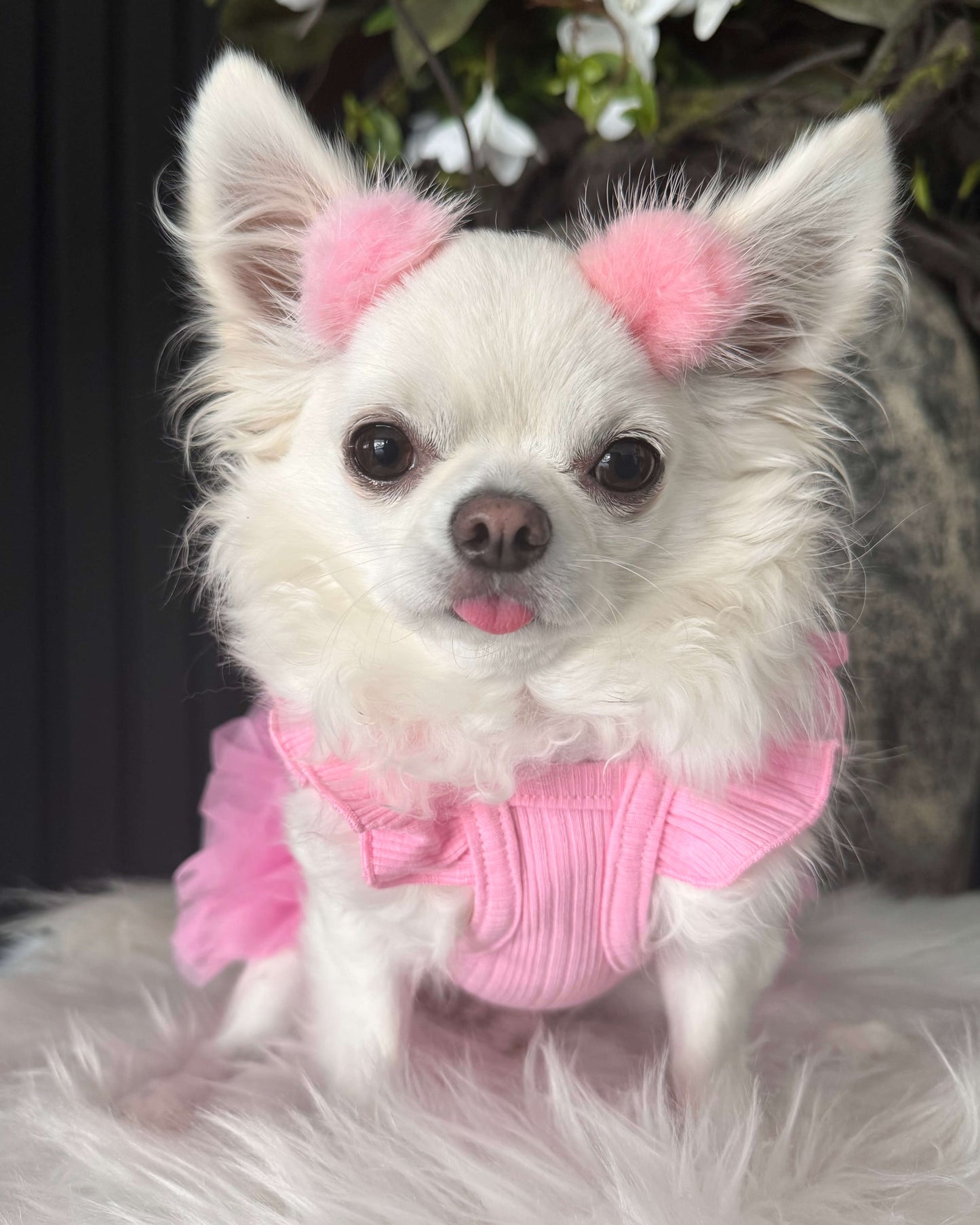 Pawsh Puff Mini Clips Fuchsia Pink