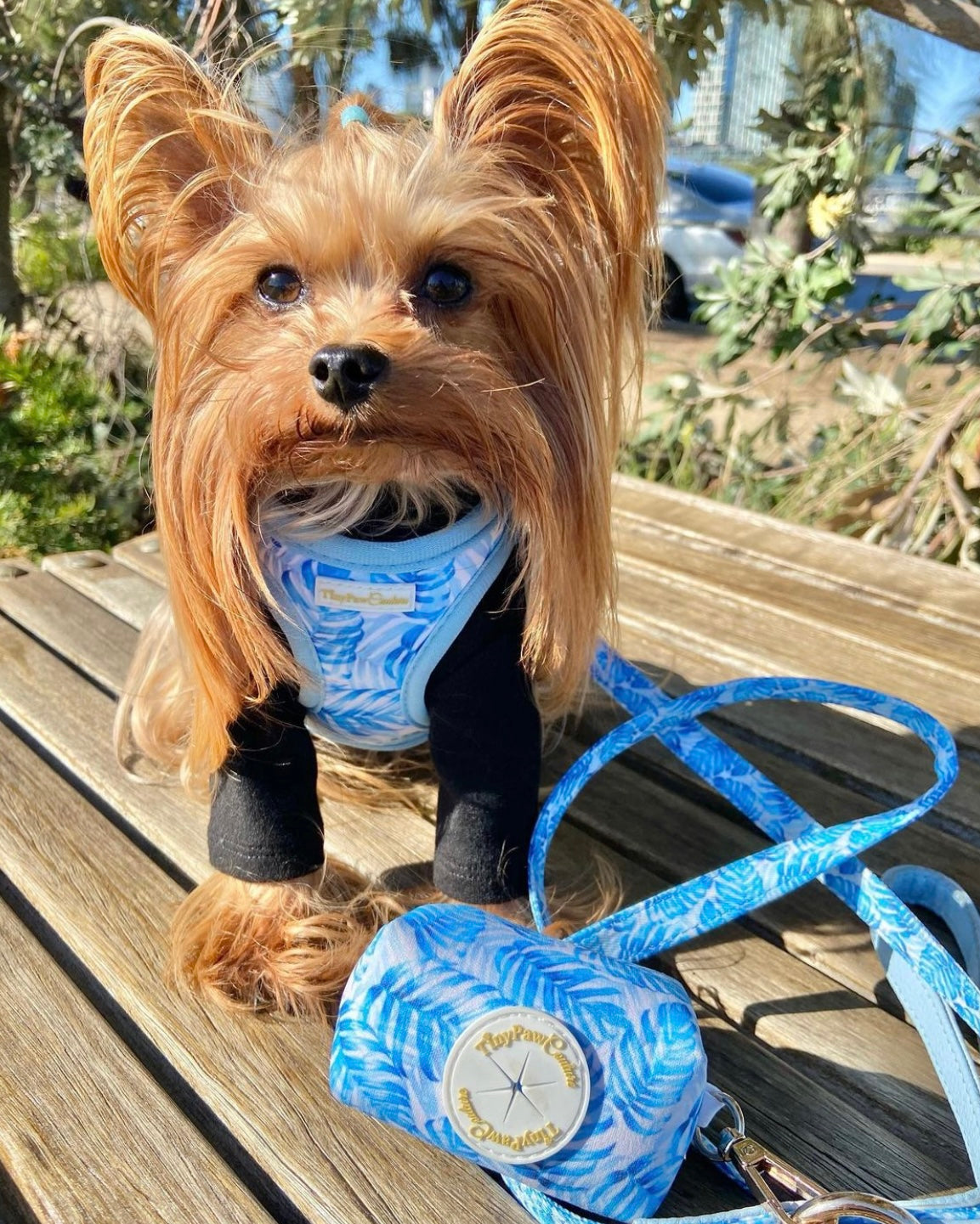 Little Luxe Blue Leaf Step In Vest Harness