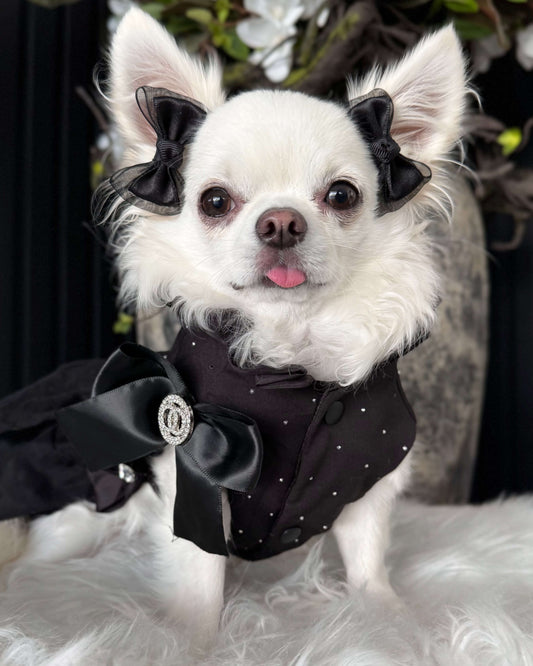 Noir Atelier Couture Dress