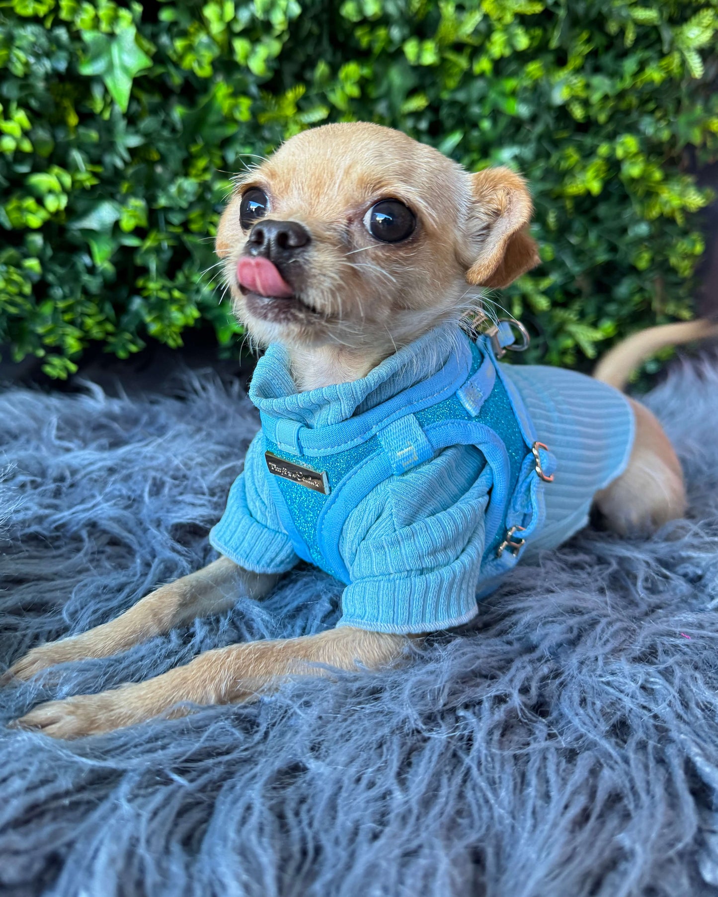 Andy Turtleneck Top Blue