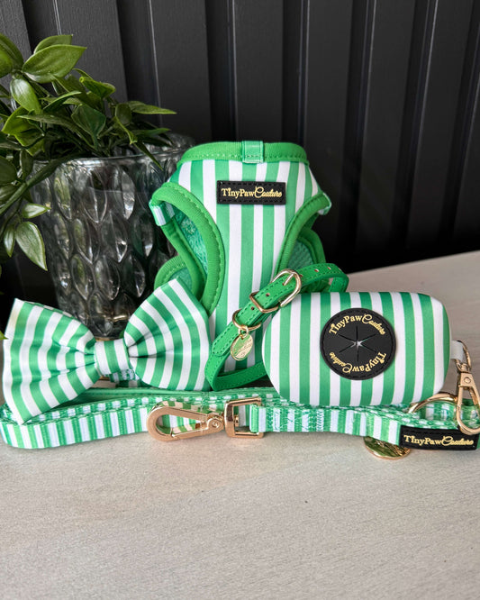 Wet'n'Wild Green Stripes Set