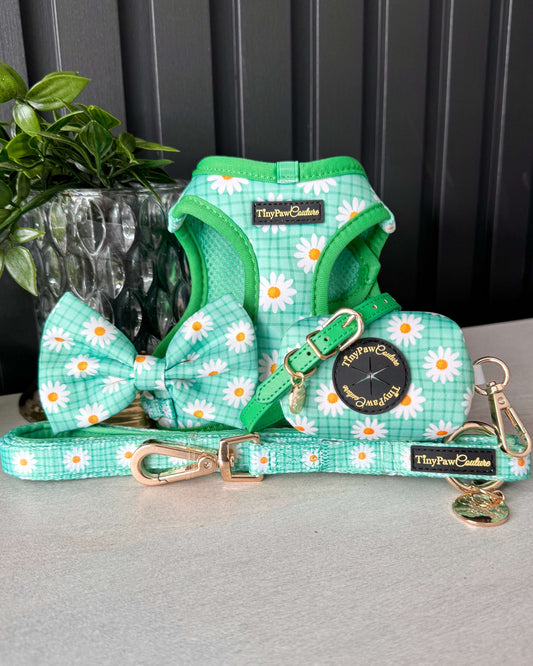 Wet'n'Wild Daisy Set