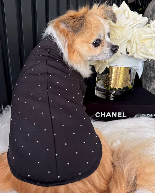 Noir Atelier Couture Jacket