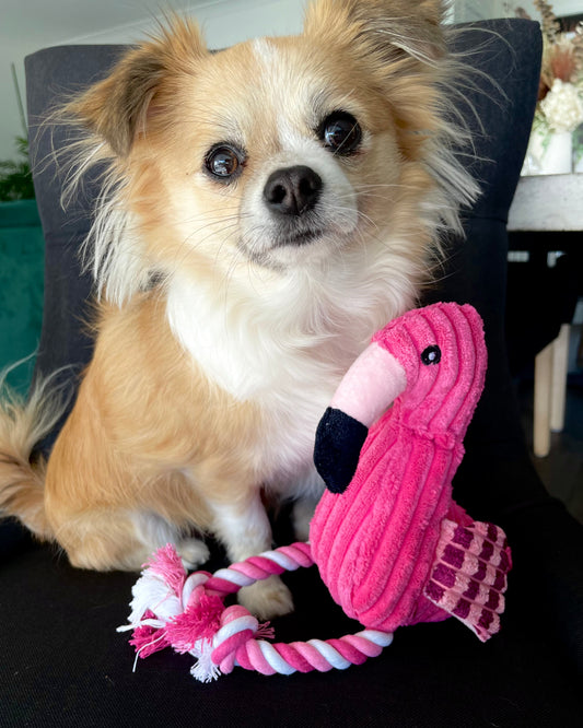 Frankie the Flamingo Plush Toy