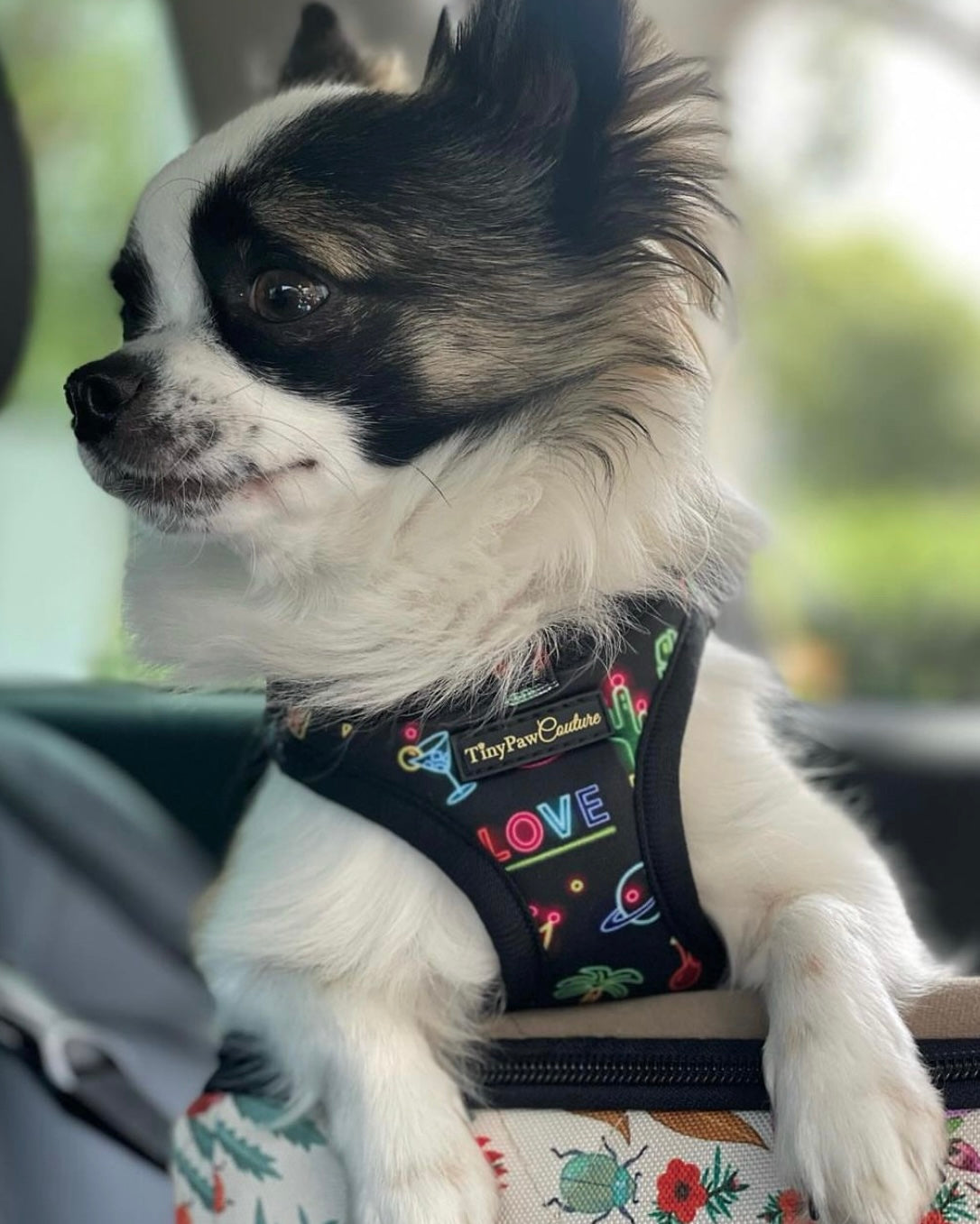 Wet'n'Wild Neon Lights Step In Vest Harness