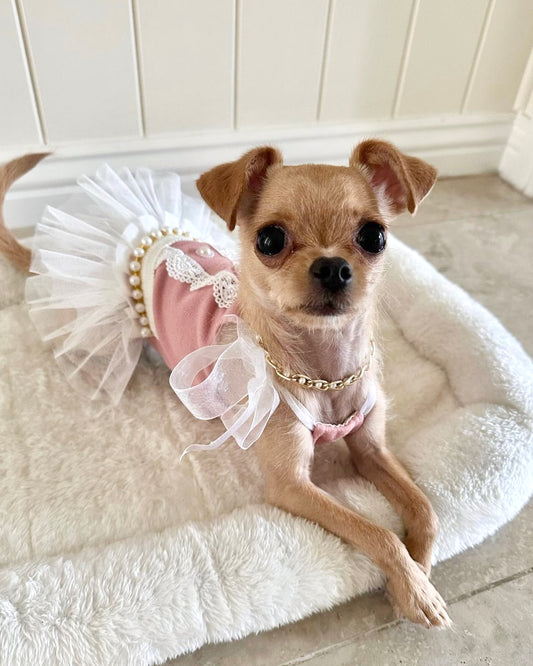 Sophia Luxe Dress Pink