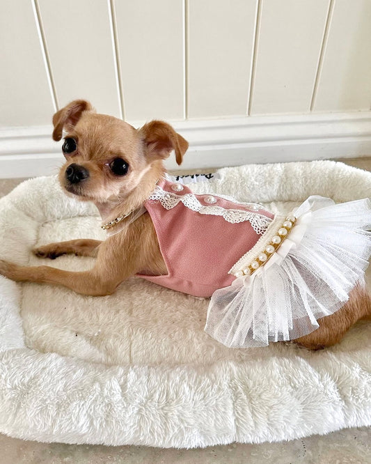 Sophia Luxe Dress Pink