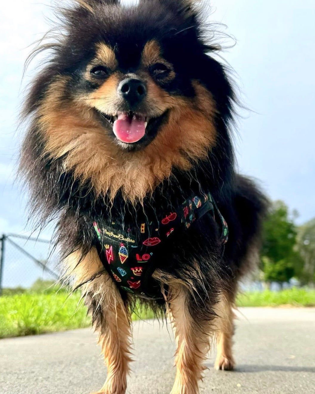 Wet'n'Wild Neon Lights Step In Vest Harness