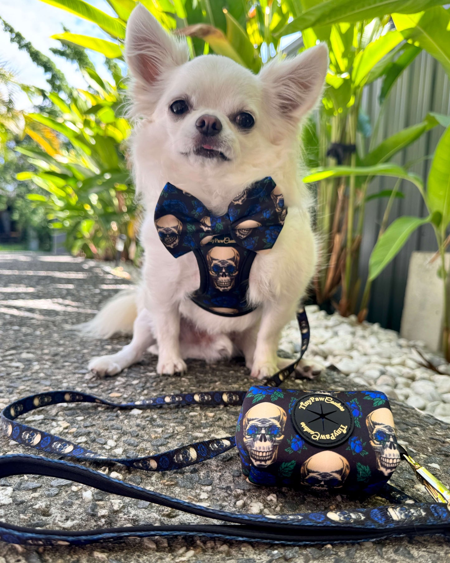 Wet'n'Wild Midnight Rebellion Set