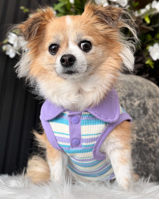 Riley Sleeveless Polo Purple