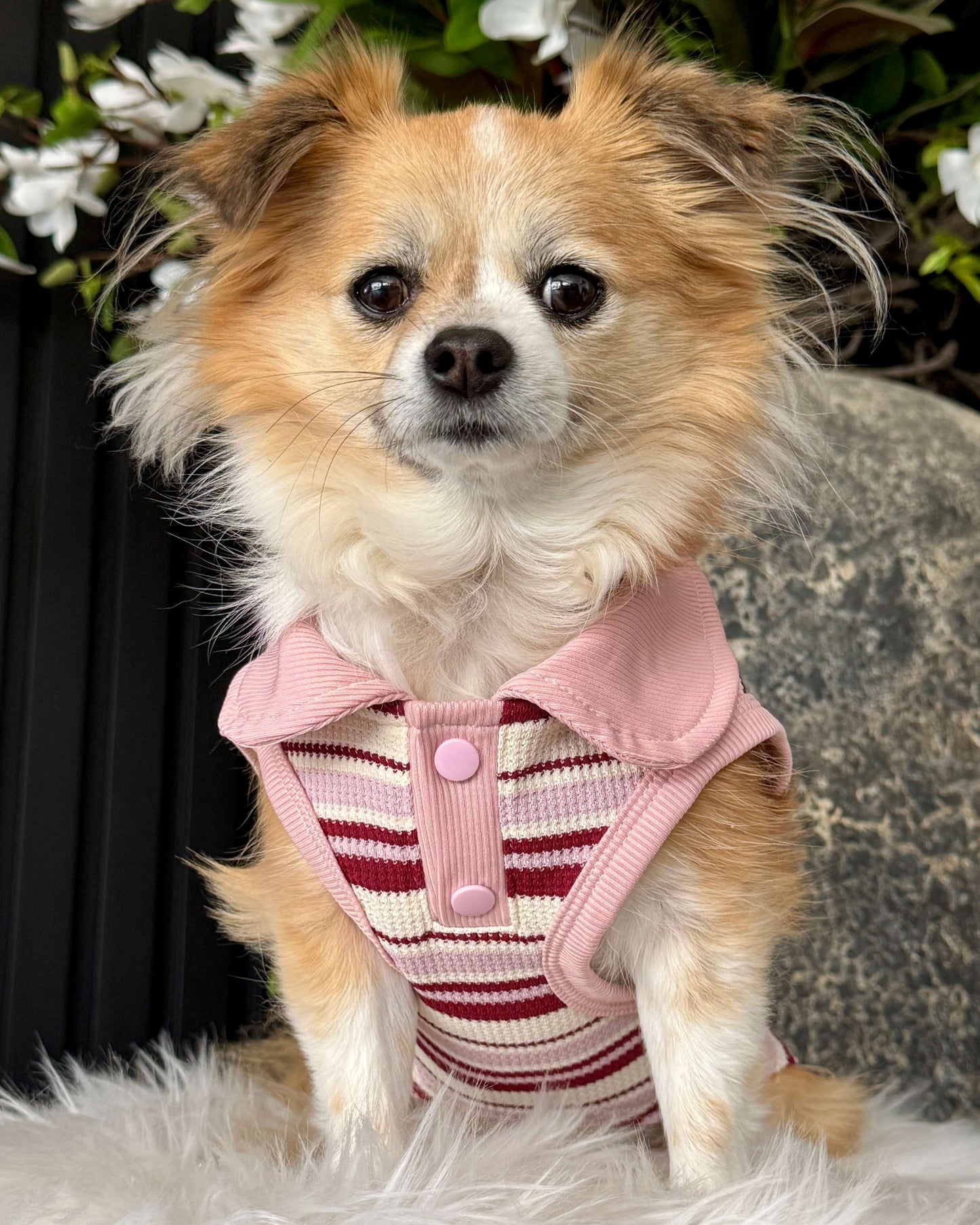 Riley Sleeveless Polo Vintage Dusty Pink