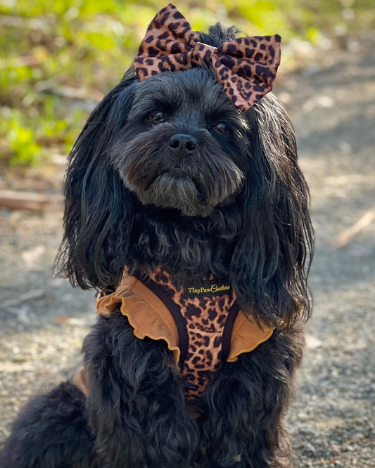 Little Luxe Leopard Bow