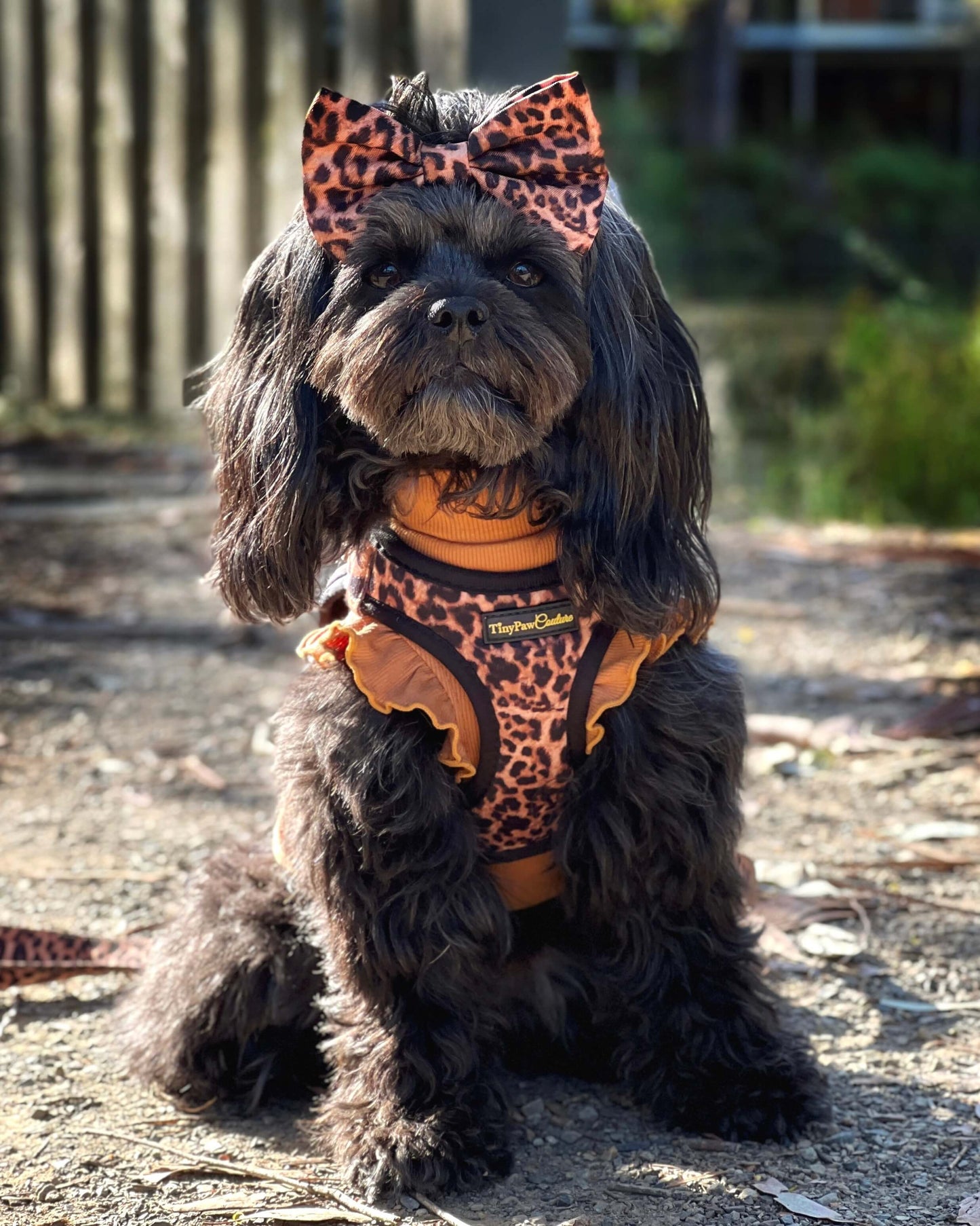 Little Luxe Leopard Step In Vest Harness