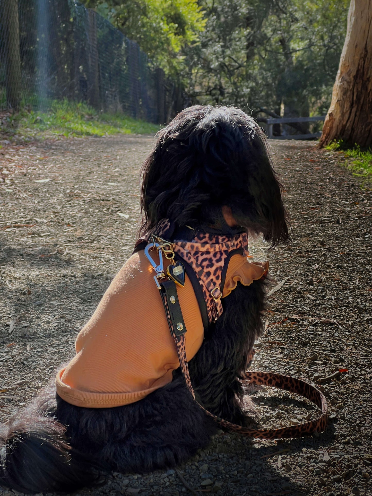 Little Luxe Leopard Step In Vest Harness