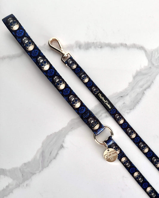 Wet'n'Wild Midnight Rebellion Lead