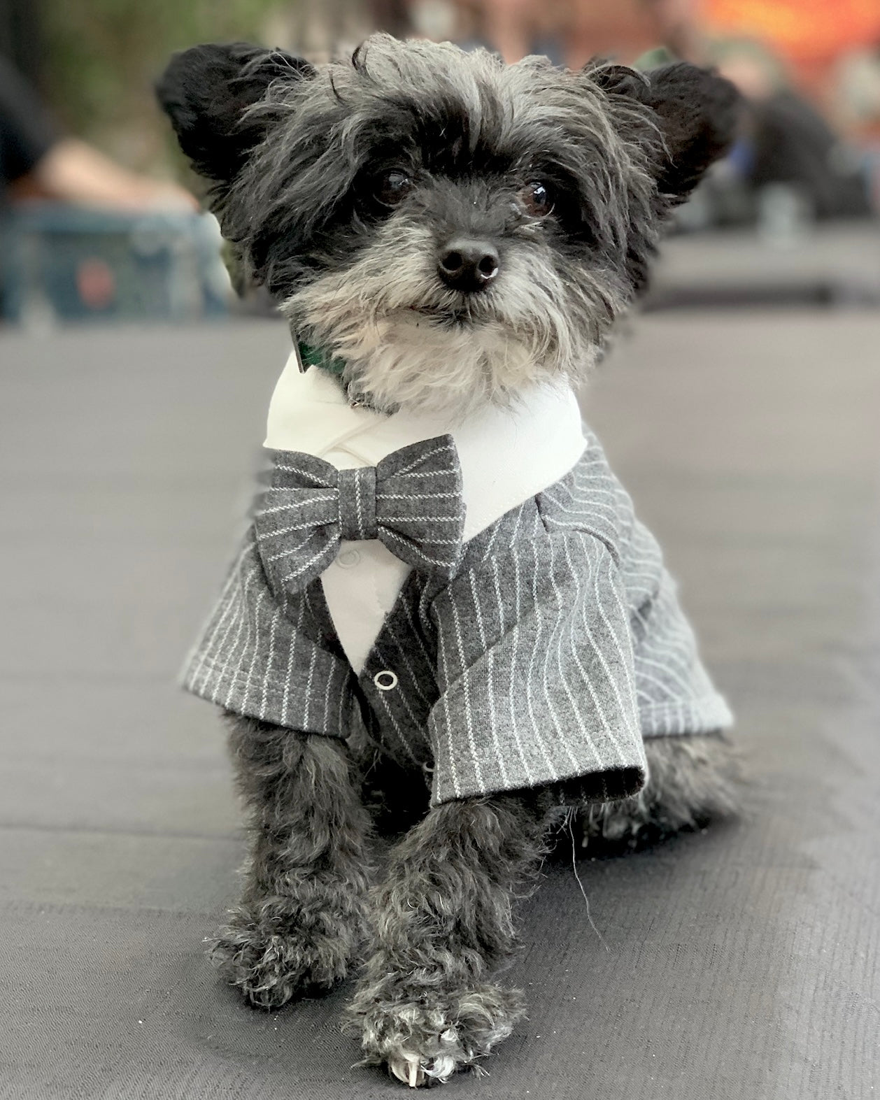 The Harrison Suit Jacket