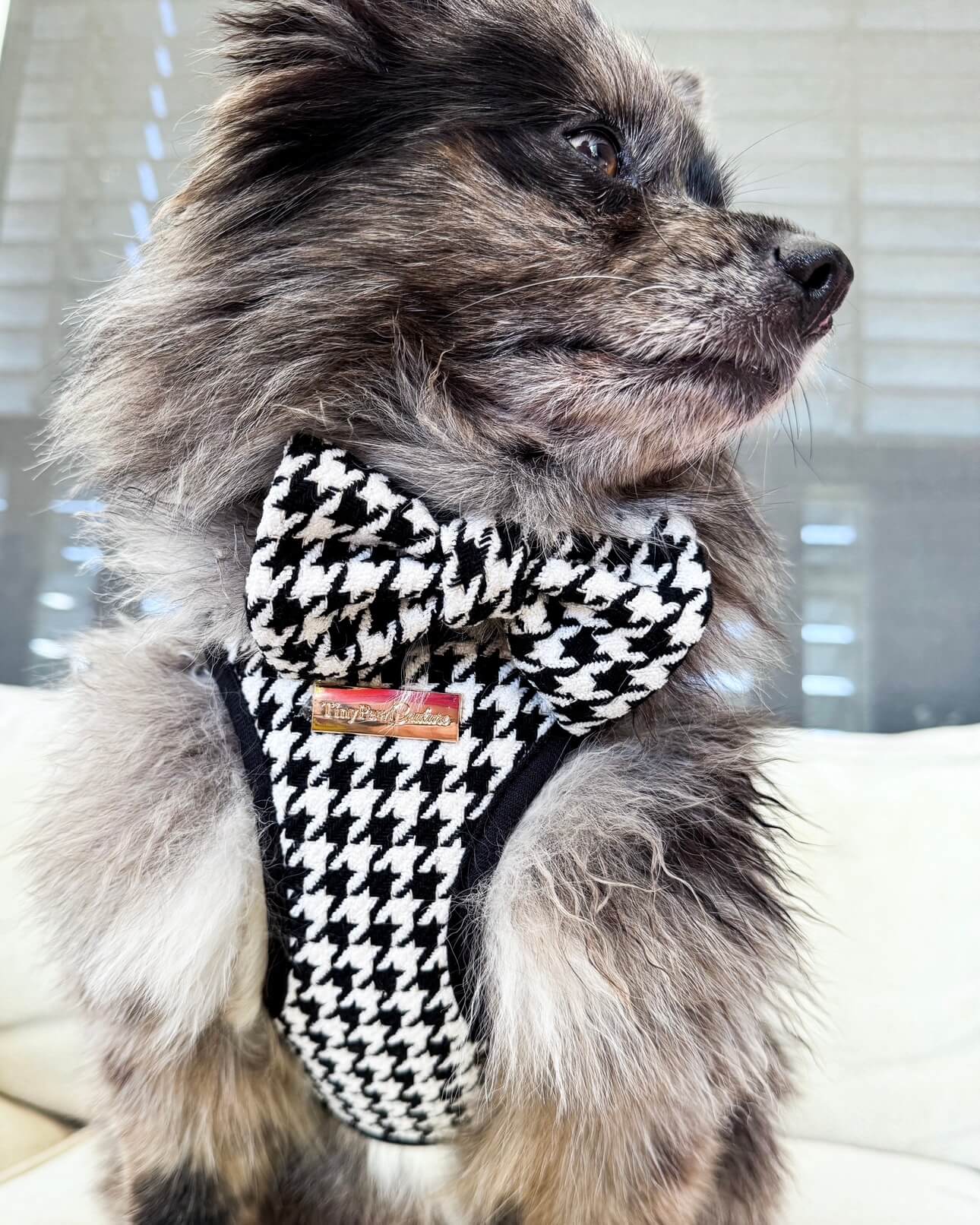 Little Luxe Houndstooth Harness