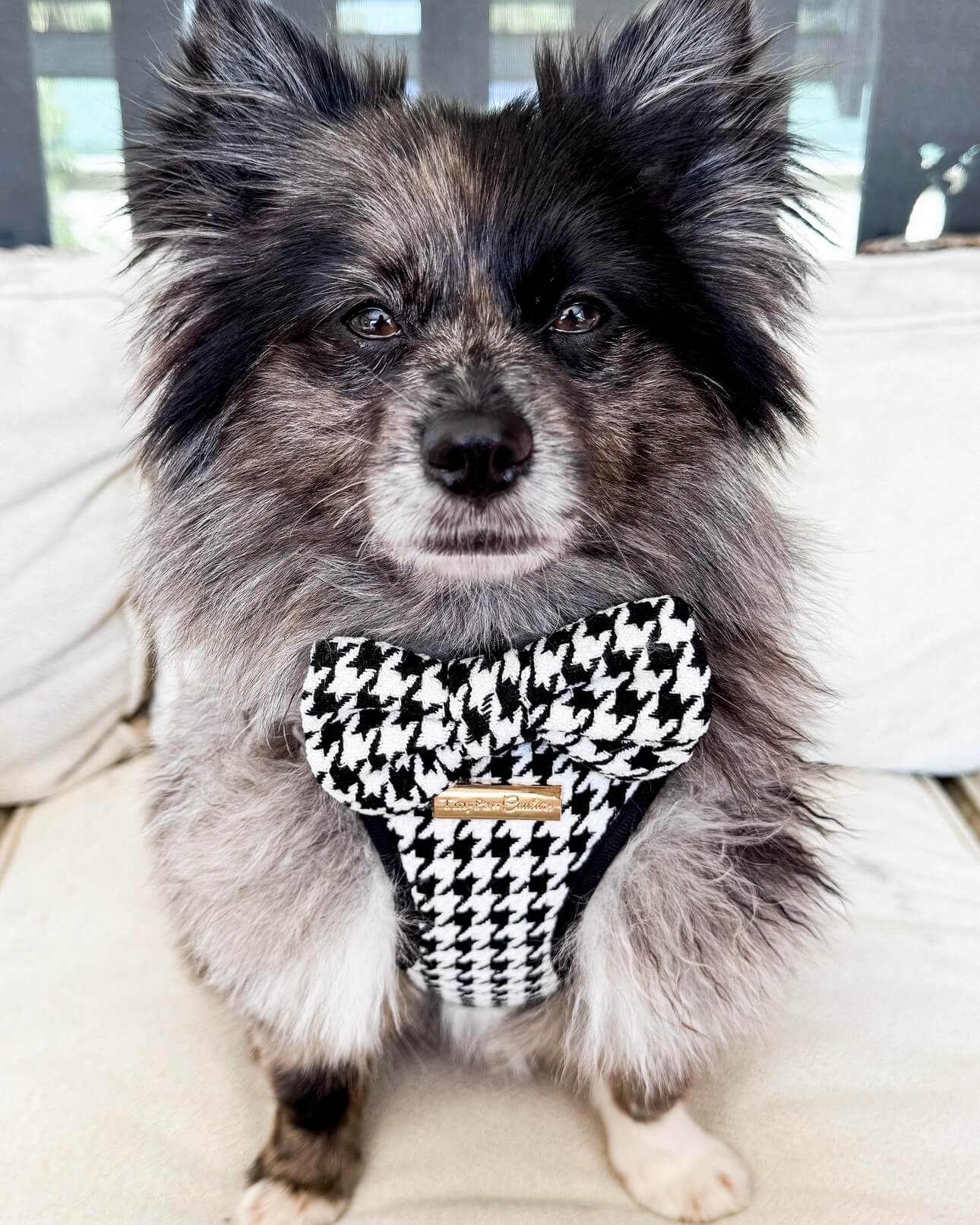Little Luxe Houndstooth Harness
