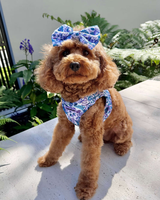 Wet'n'Wild Azure Huntress Harness