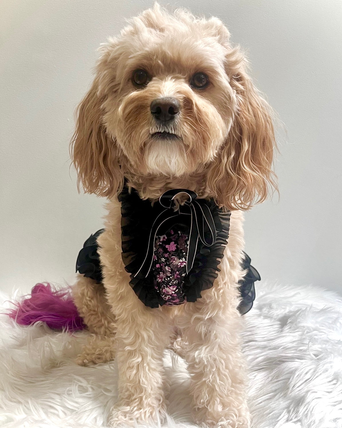 Lila Dress